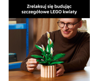 LEGO BOTANICALS 11504 Skrzydłokwiat - 1473410 - zdjęcie 5